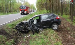 Fot. Policja Tarnowskie Góry