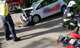 fot. Policja Wodzisław Śląski