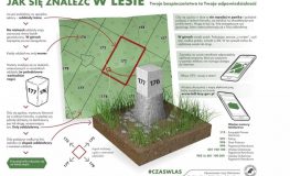 fot. strażnik leśny Adam Strzałka./ Nadleśnictwo Zawadzkie